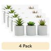(4 pack) 3-Piece Succulent Set in Gray Cement Planters