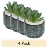 (4 pack) 3.9" Artificial Crassula Ovata Succulent Plant in Teal Ceramic Pot