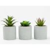 (4 pack) 3-Piece Succulent Set in Gray Cement Planters