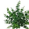 (3 pack) 14in Indoor Artificial Eucalyptus Leaves Pick, Green Color. Weight 0.14lb, Pot Not Included.