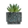 (4 pack) 3.9" Artificial Crassula Ovata Succulent Plant in Teal Ceramic Pot